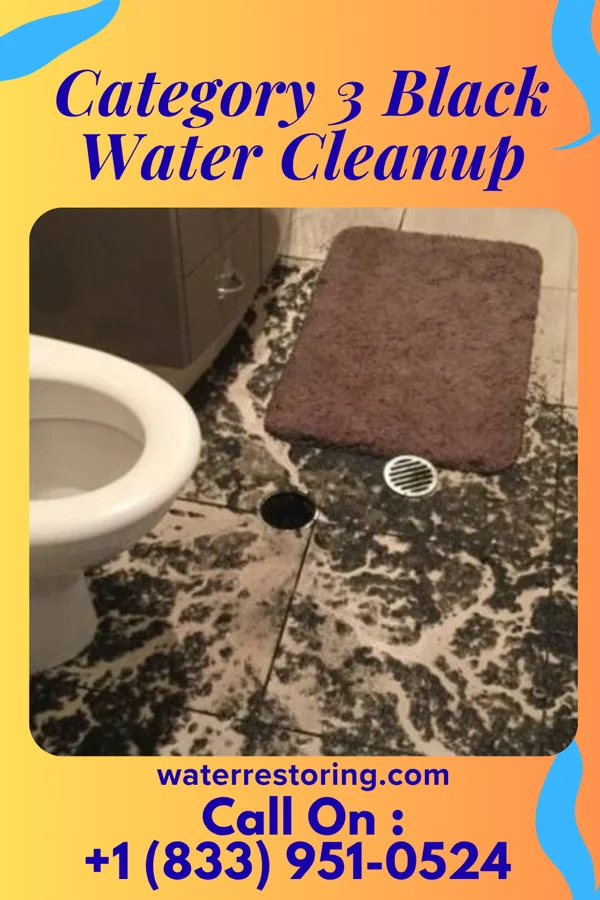 Category 3 Black Water Cleanup in Converse, TX