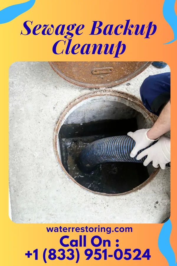 Sewage Backup Cleanup in Converse, TX